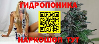 mdma Кандалакша