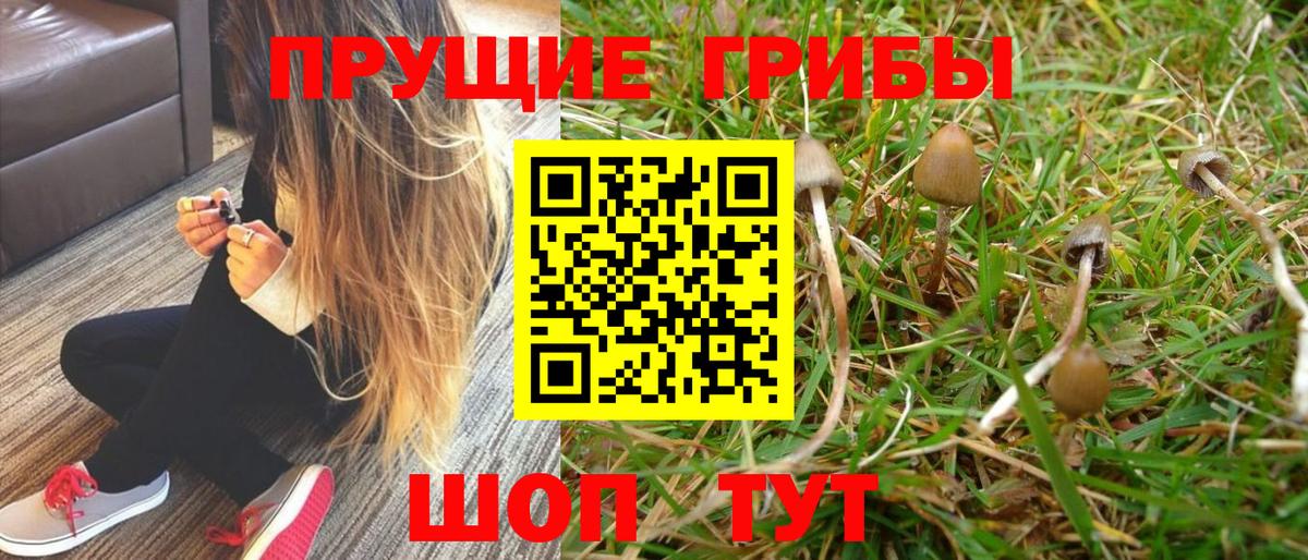 купить наркотики сайты  Вход с VPN  Краснокаменск  Псилоцибиновые грибы MAGIC MUSHROOMS  Галлюциногенные грибы мухоморы 