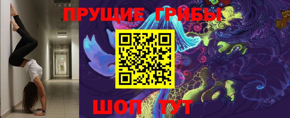 Галлюциногенные грибы Psilocybe Краснокаменск
